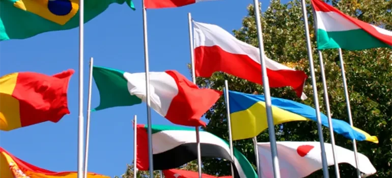 Catalog Magazinul de Steaguri